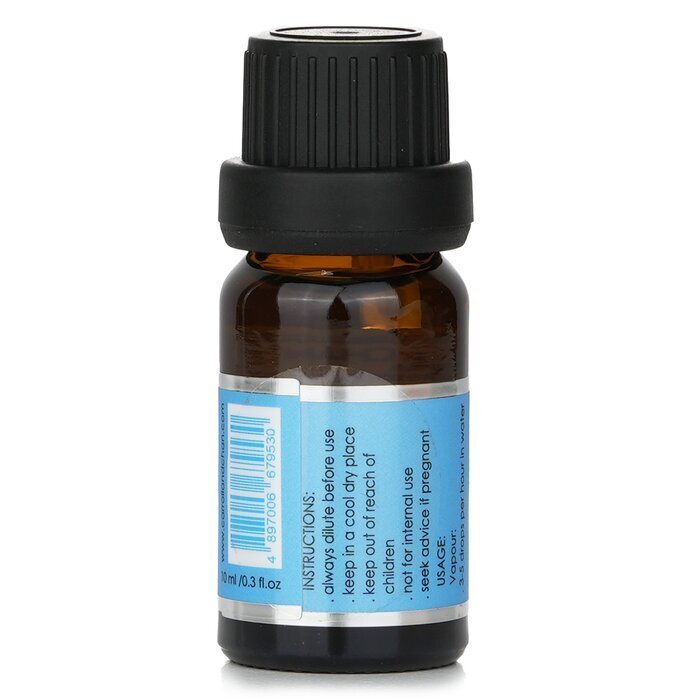 Carroll & Chan Fragrance Oil - # Ocean Mist 10ml/0.3oz