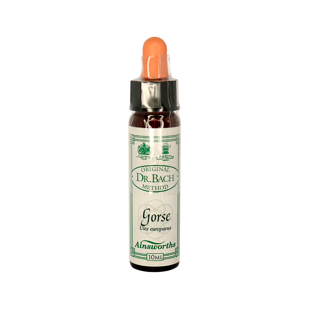 Ainsworths Original Dr. Bach Method Flower Essence Gorse 10ml